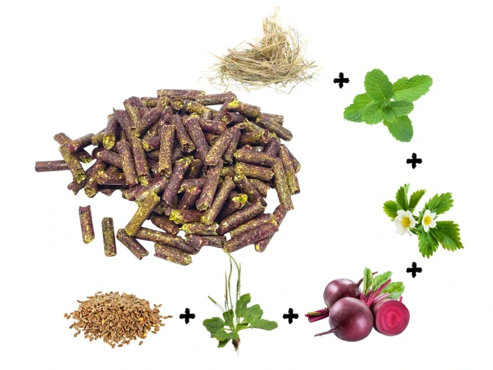 Senné granule s červenou řepou, mátou, listem jahodníku, jitrocelem a lněným semínkem 4mm 5 kg