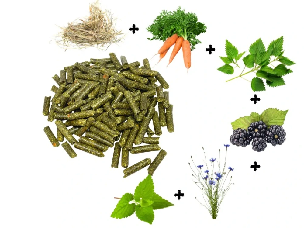 Senné granule s mrkví, chrpou, ostružiníkem, kopřivou a meduňkou 4mm