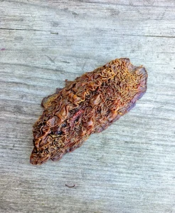 Sušená býčí žláza