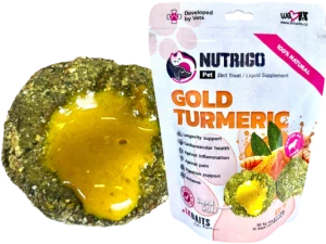 NUTRIGO GOLD TUMERIC mini pamlsek s omáčkou z kurkumy