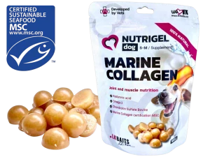 NUTRIGEL MARINE COLLAGEN medium