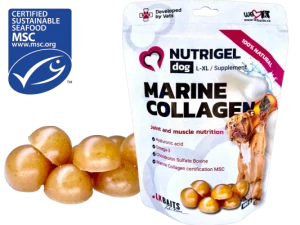NUTRIGEL MARINE COLLAGEN maxi