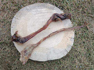 Sušená hovězí šlacha