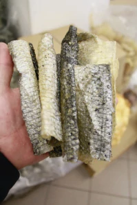 Sušená kůže z lososa cca 15cm 50-500g