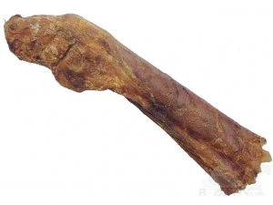 Koňská noha sušená 35-40 cm