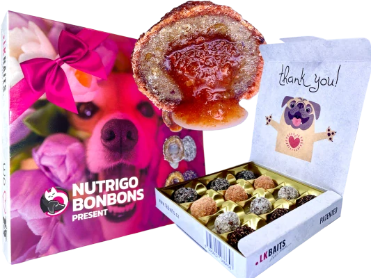 NUTRIGO BONBONs omáčkou 75g Sváteční bonboniéra pro menší psy 