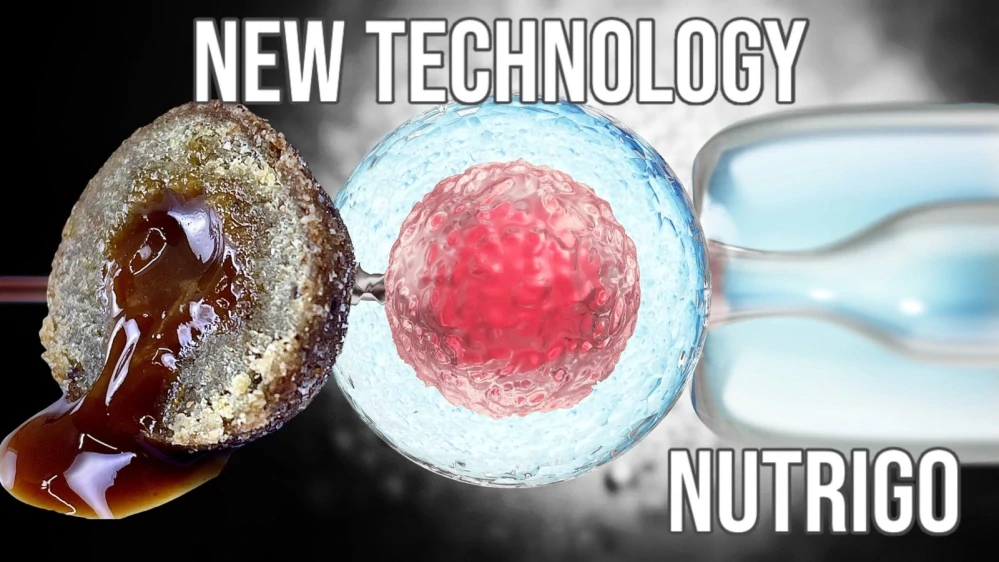 NUTRIGO WORM-EX mini