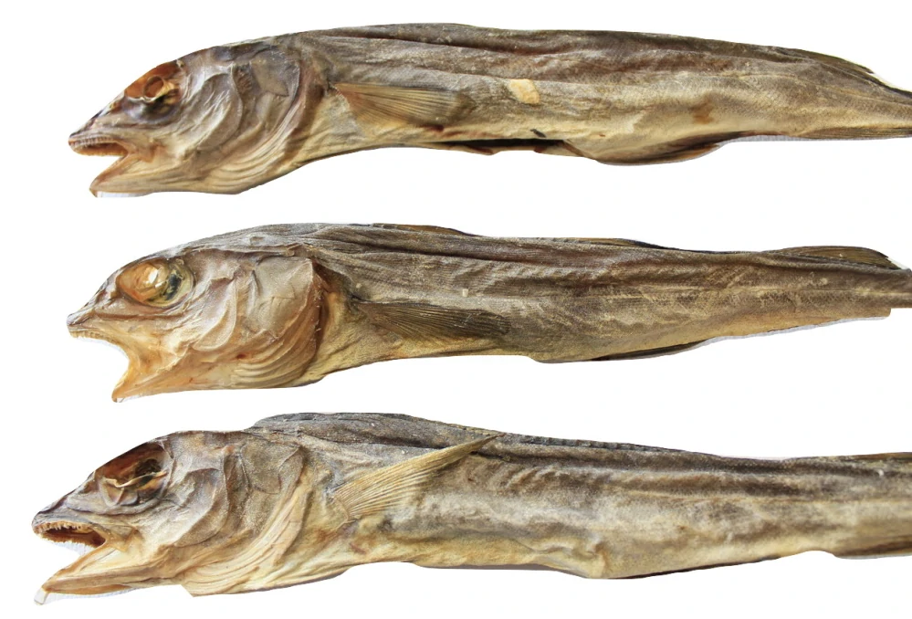 Sušená mořská štika 200g