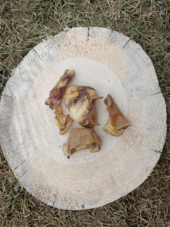 Sušená záuška 200g